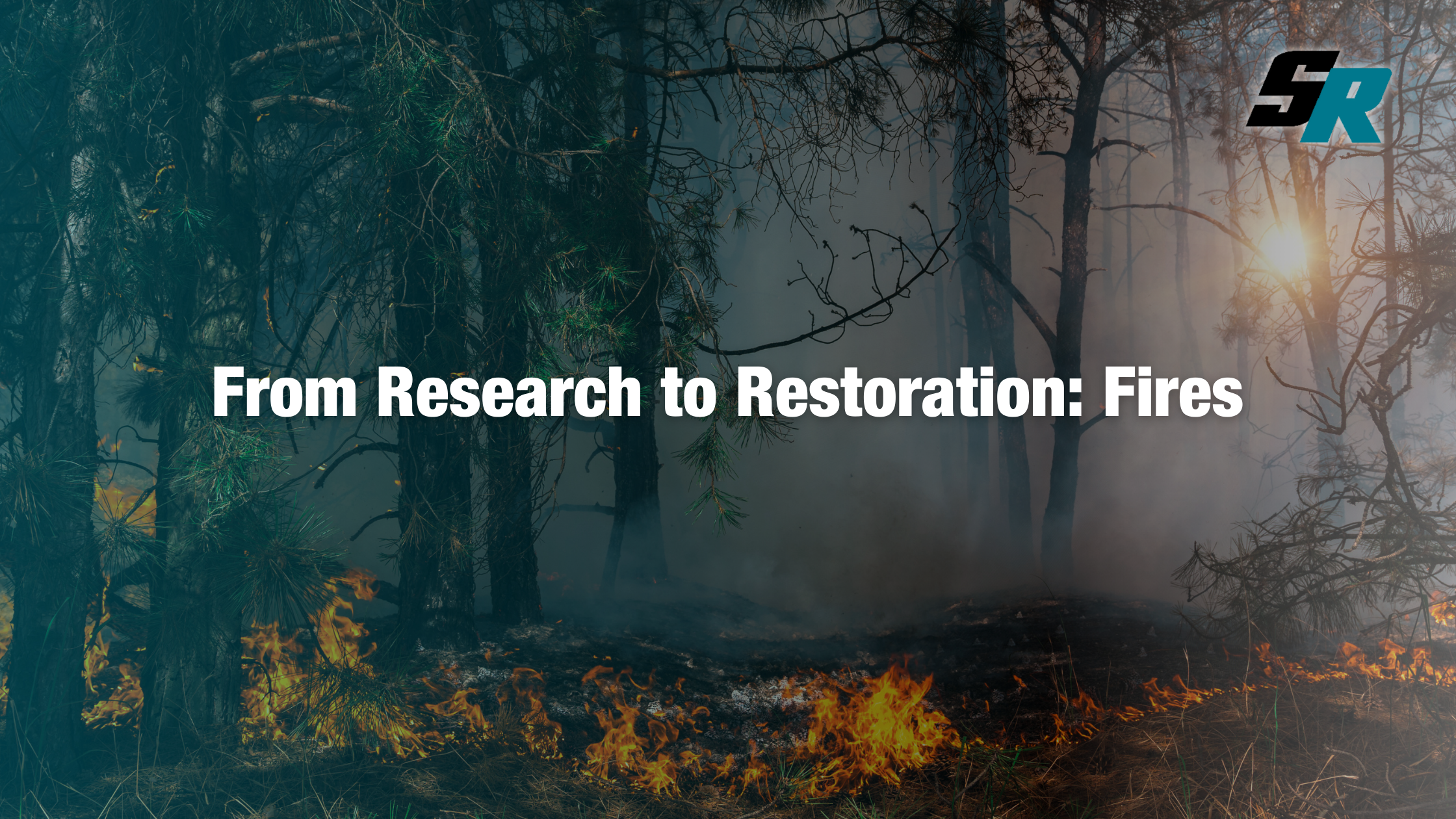 Wildfire Restoration with Sasser Restoration